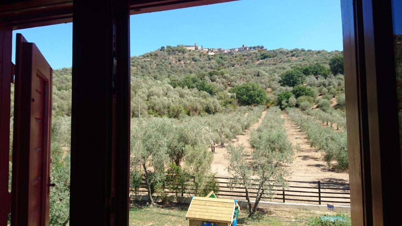 Montepescali Il Barbagianni B&B 외부 사진