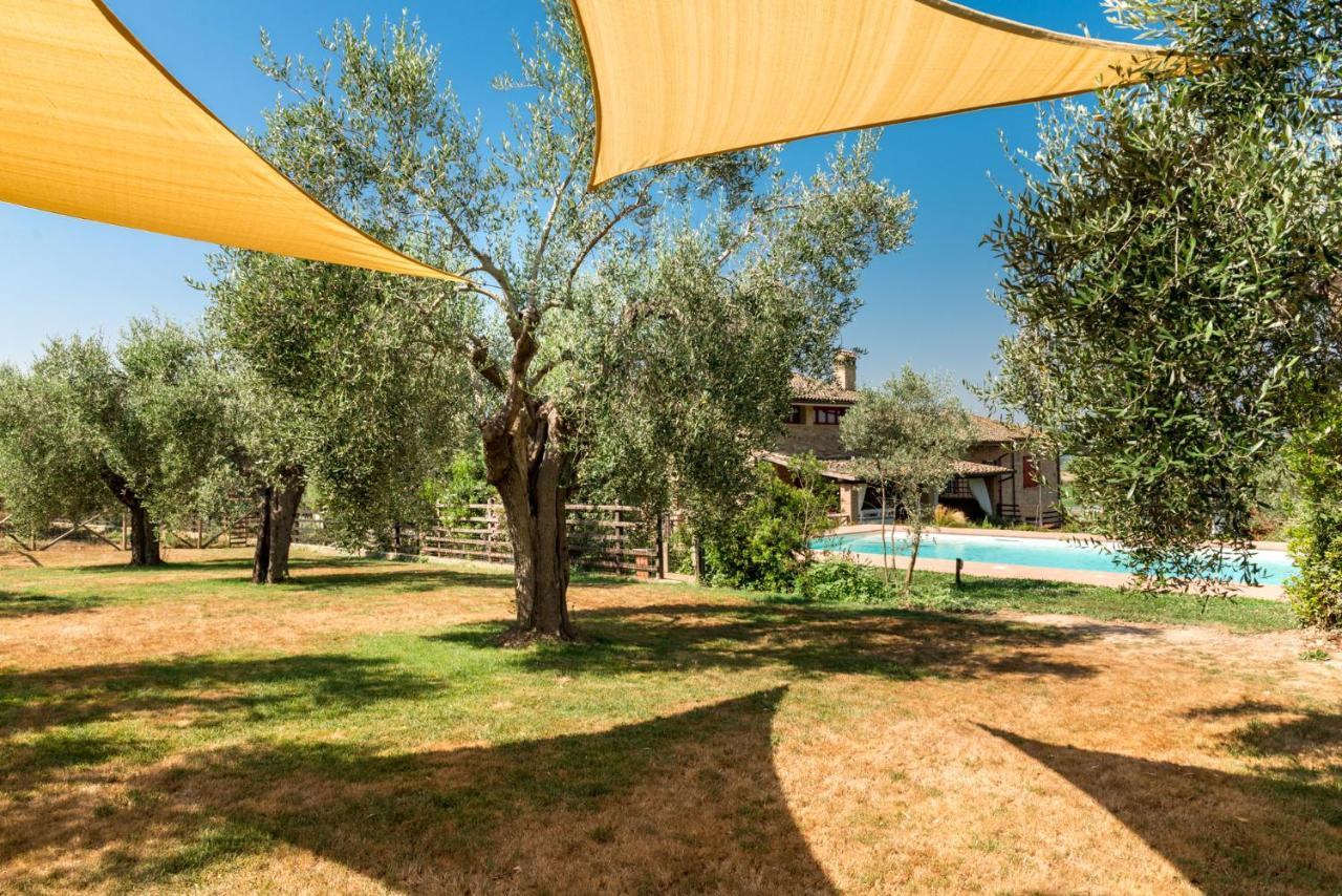 Montepescali Il Barbagianni B&B 외부 사진
